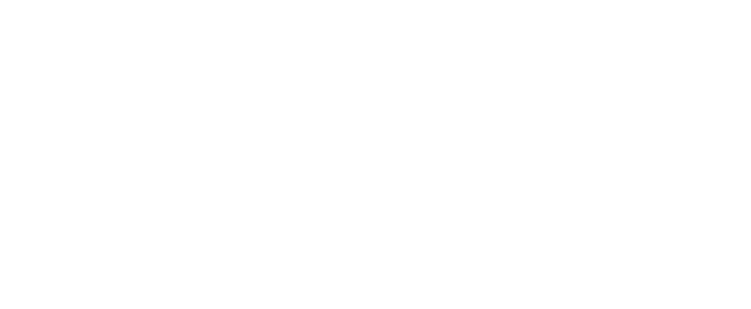 msn-logo-transparent